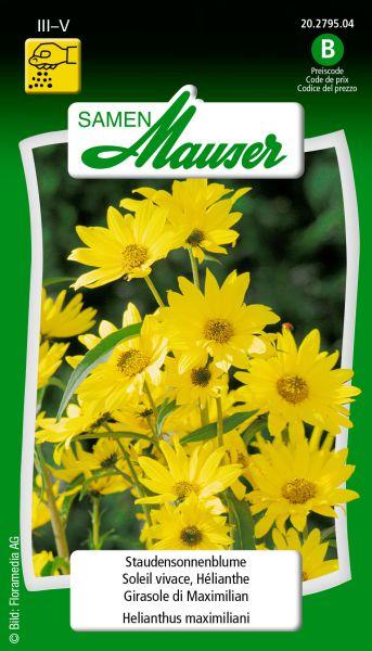 Image du produit Samen Mauser Tournesol vivace (Graines de fleurs)