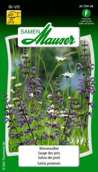 Produktbild Samen Mauser Wiesensalbei (Rasensamen)