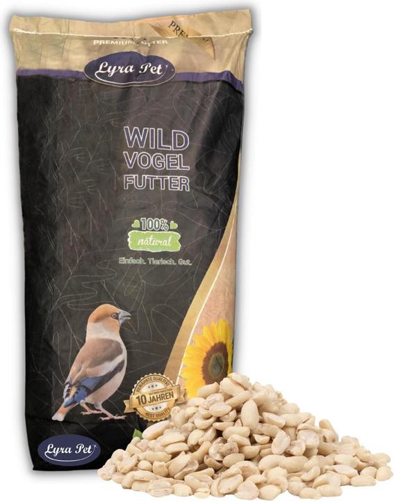 Actual product image Lyra Pet Peanut kernels SPLITS HK South America (1 x, 10 kg)