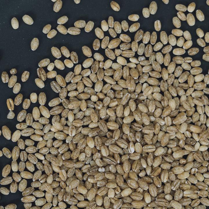 Produktbild Altbachmühle Bio Gerste geschält (1000 g)
