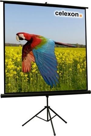 Actual product image Celexon Eco tripod, screen, 1:1 (74.02", 1:1)