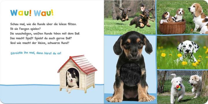 Produktbild Hör mal rein, wer kann das sein? Lieblingstiere (Deutsch)