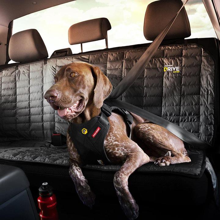 Actual product image EzyDog Drive Dog Car Harness (M, Dog, General)