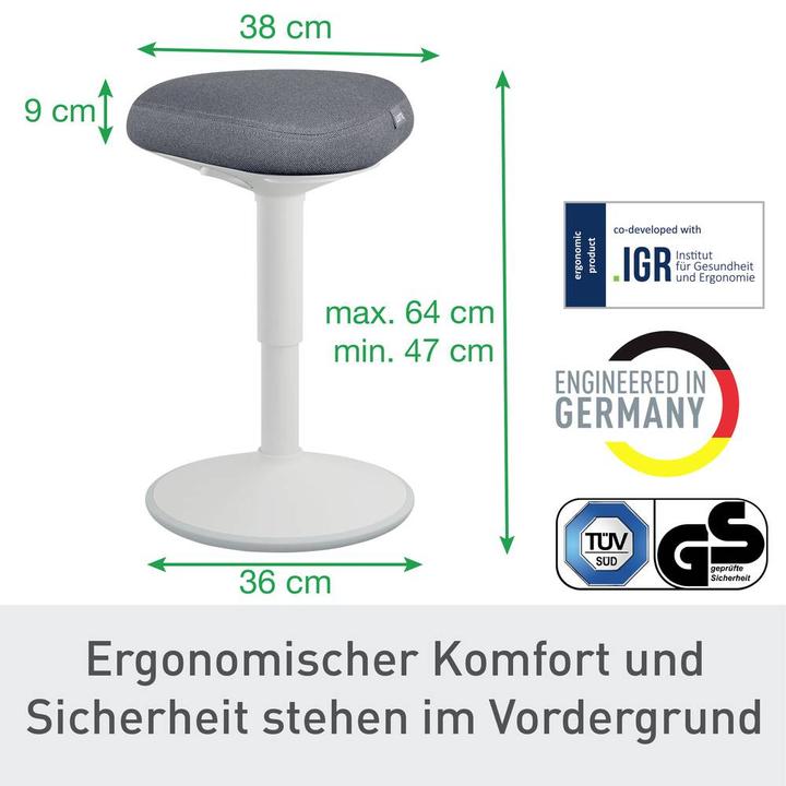 Image du produit Leitz Ergo Active