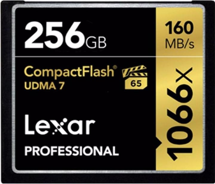 Lexar Professional 1066x (256 GB, CF)