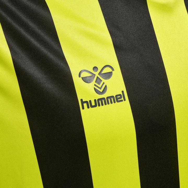 Actual product image hummel Core Xk Striped Jersey S/S (M)