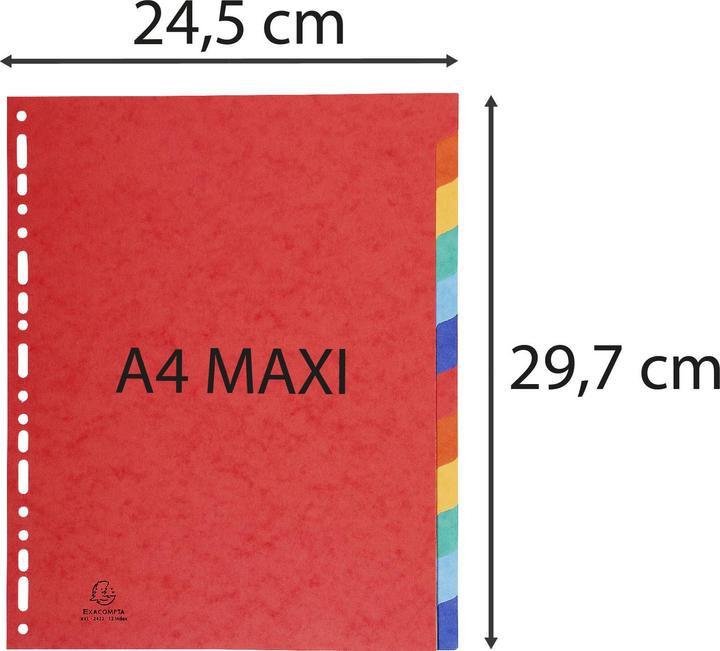 Image du produit Exacompta Intercalaires vierges - carton