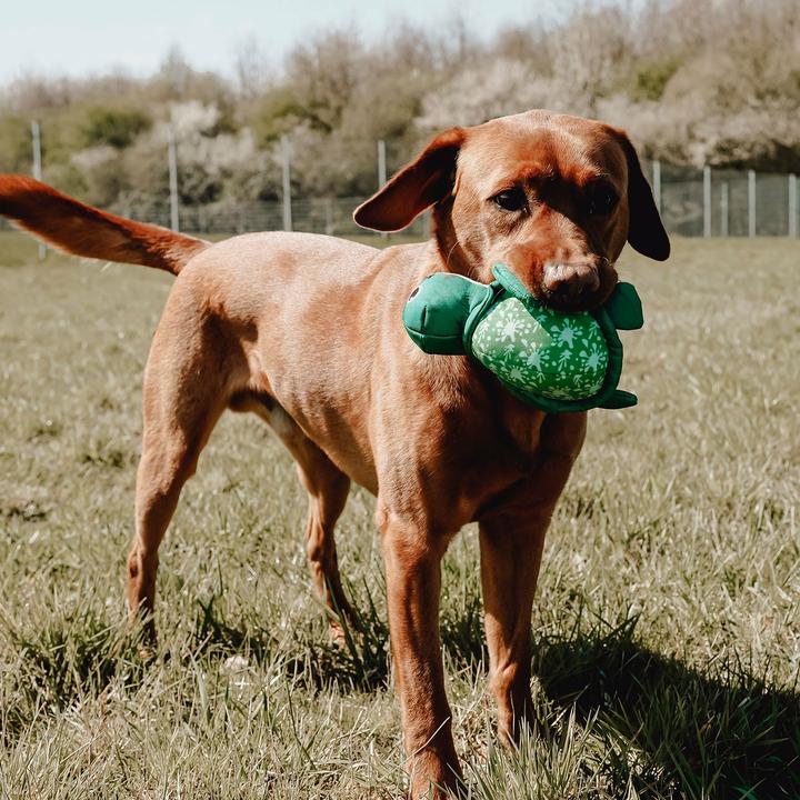 Image du produit Hunter Toy Flingerz Splash Turtle - (401673969524) (Jouet à mâcher pour chien, Apporter)