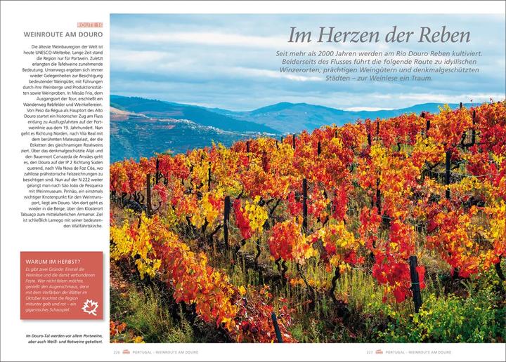 Image du produit Wann wohin mit dem Wohnmobil Europa (Allemand, Andrea Lammert, Daniela Schetar, Oliver Breda, Walter M. blanc, Cornelia Hammelmann, Robert Fischer, Susanne Lipps, Rita Henss, Christa Pppelmann, Christiane Gsanger, 2023)