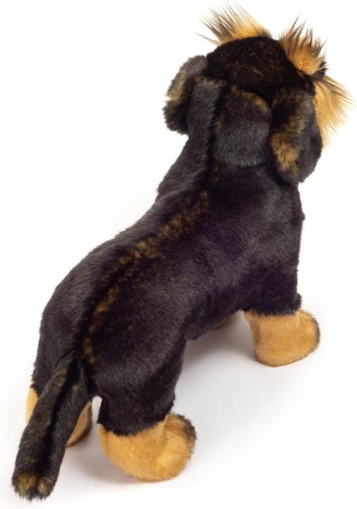 Immagine prodotto Teddy Hermann Bassotto a pelo ruvido (20 cm)
