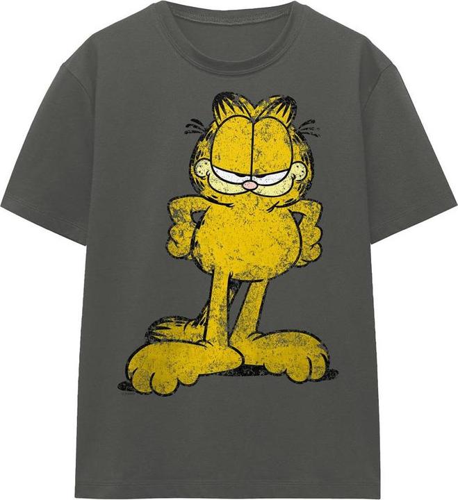 Actual product image Garfield Unisex Adult Big Ol' Cat T-Shirt (S)