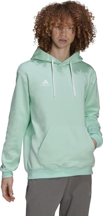 Immagine prodotto adidas Felpa Entrada 22 Hoody mint HC5081 (L) (L)