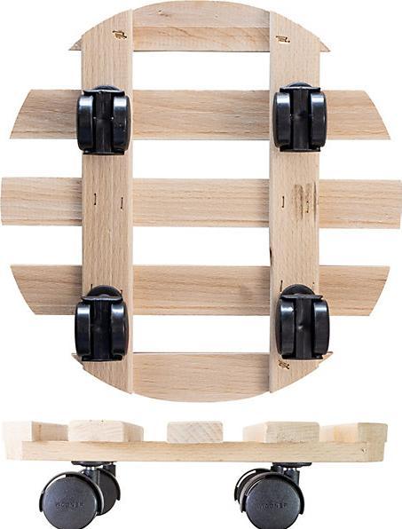 Actual product image Pflanzenroller Buche PALETTI 0318