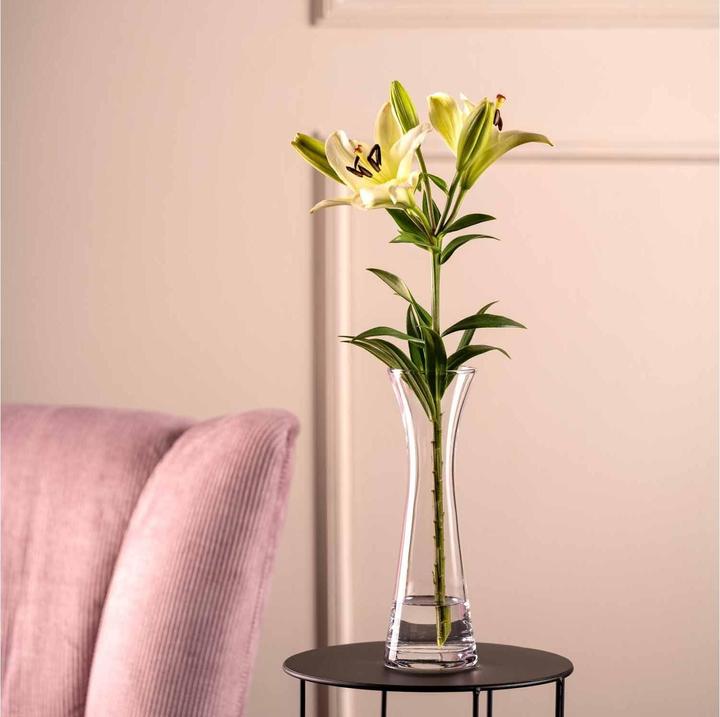 Image du produit Leonardo Vase Gia 26 cm, Transparent (1 x, 26 x 8 x 26 cm, 2146.50 l)