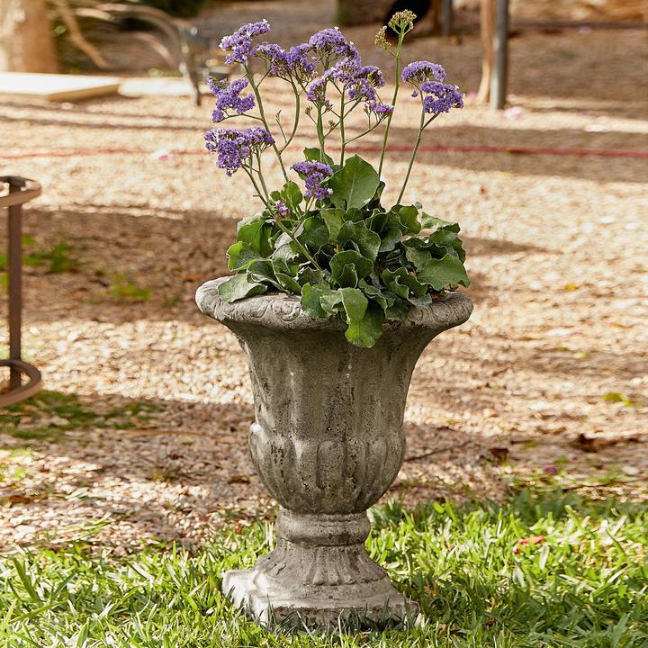 Produktbild Loberon Lachamp (38 cm)