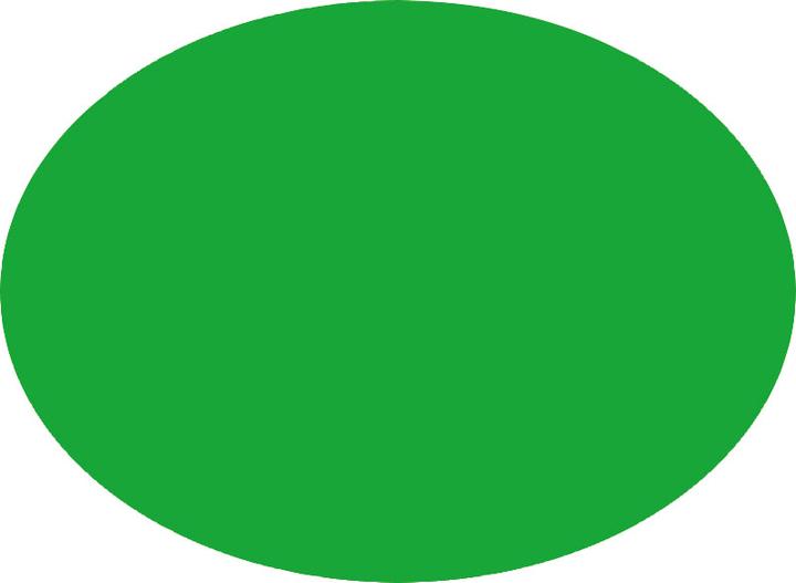 Immagine prodotto Pentel Penna a pennello (Verde, 1 x)