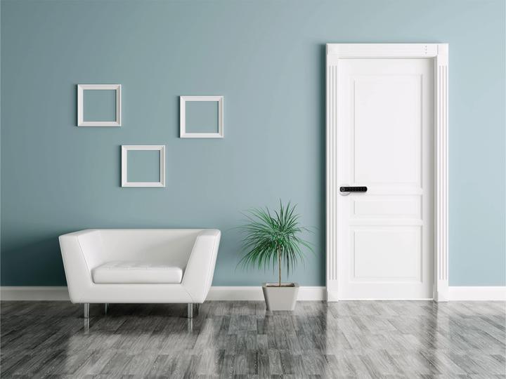 Image du produit DNT DoorAccess Pro (Empreinte digitale, Combinaison électronique de chiffres)
