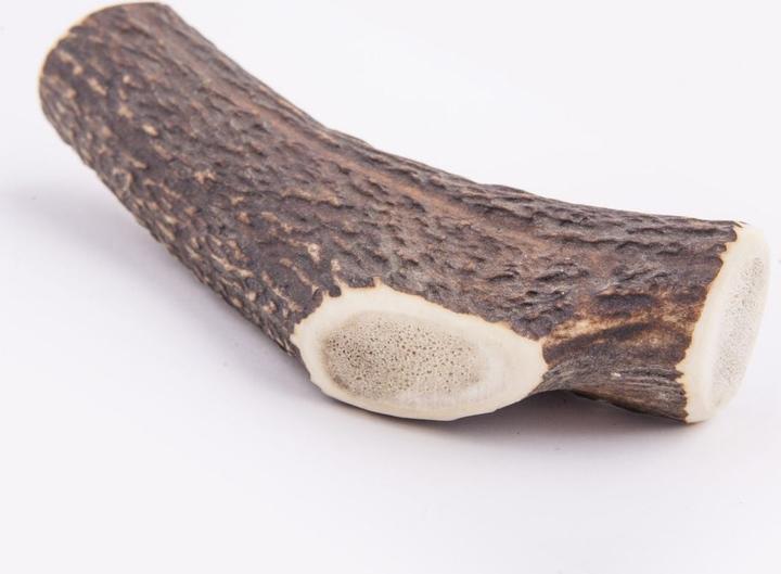 Actual product image 4Dogs Original 4DOGS 4DOGS for chewing L (HARD) (Dog chew toy)