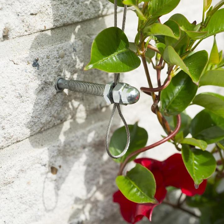Image du produit Nature Wire trellis kit (1000 cm, 1000 cm)