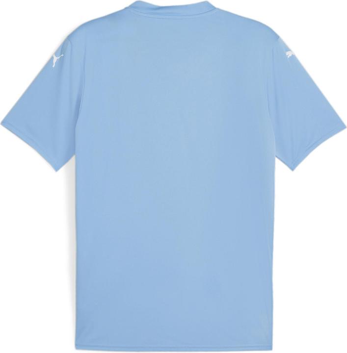 Actual product image Puma teamGLORY Jersey (XL)