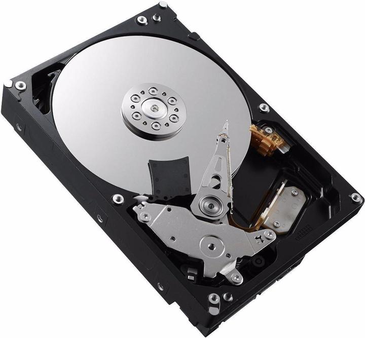 Dell Harddisk 400-BGEB 3.5 SATA 1 TB (1 TB, 3.5")