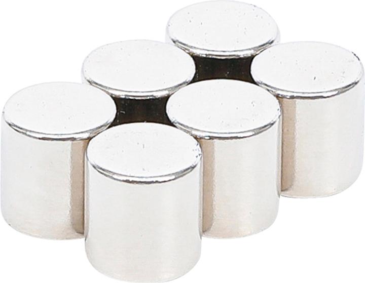 BGS Magnet-Satz (6 x)