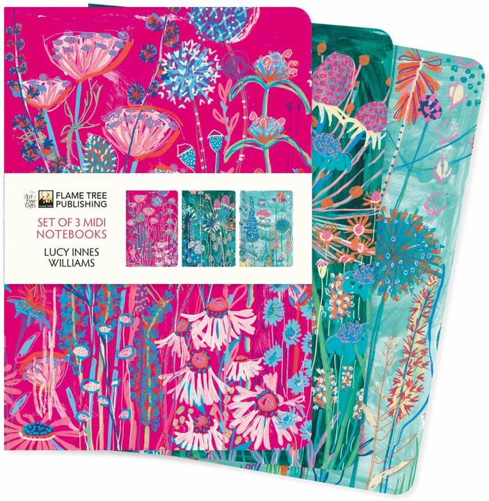 Actual product image Lucy Innes Williams Set of 3 Midi Notebooks (Hardcover)