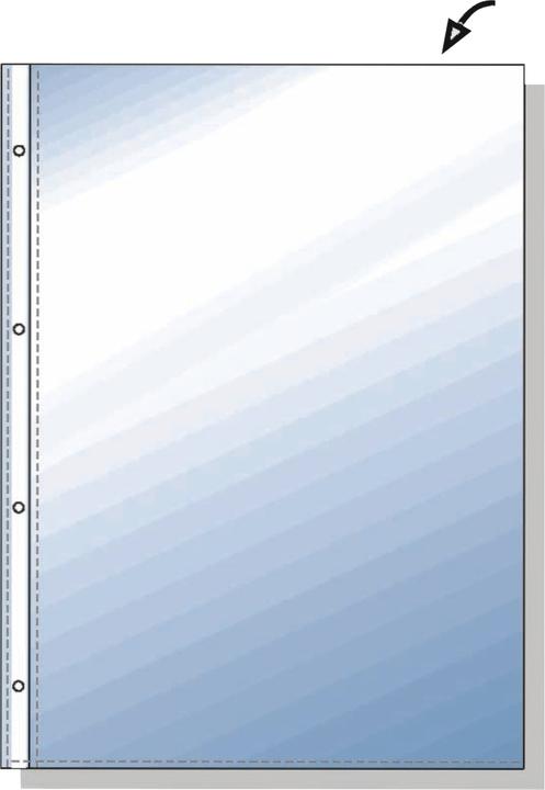 Actual product image Neutral Leaflet cover 224951 top quality 10 pieces (A4, 10 x)
