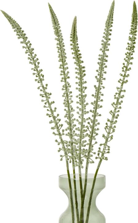 Immagine prodotto Hill Interiors Stelo di Eremurus Pianta artificiale (88 cm)