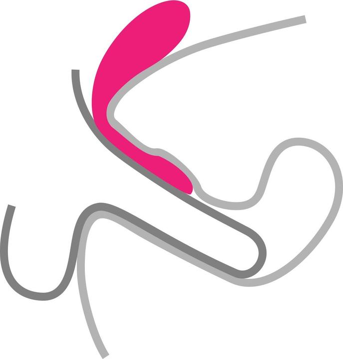 Produktbild LELO Tiani 2 Design Edition