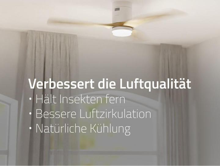 Immagine prodotto Hombli Deckenventilator mit Licht (43 dB)