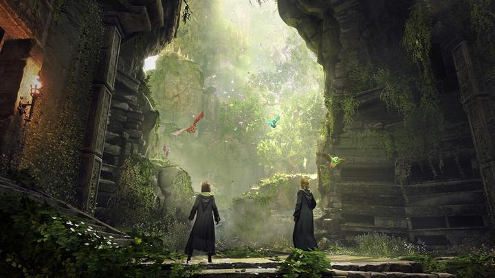 Immagine prodotto WB Hogwarts Legacy (Xbox Series X, DE, FR)