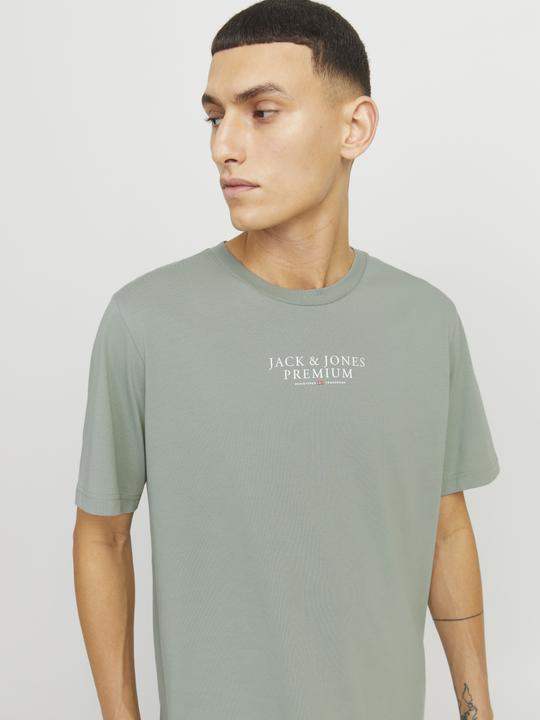 Actual product image Jack & Jones Jprbluarchie Ss Tee Crew Neck Noos (XXL)