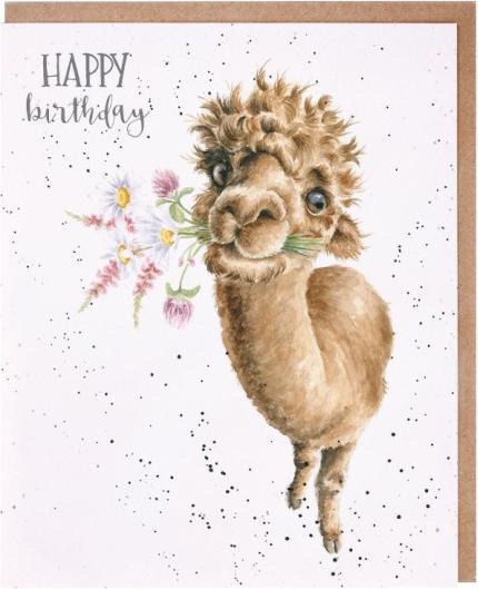 Produktbild Wrendale Design Geburtstagskarte - Alpaka HAPPY BIRTHDAY Wrendale Designs (1 Stk.)