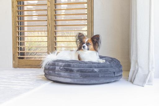 Productafbeelding Designed by Lotte Reza ligkussen (Hond)