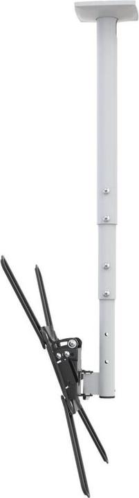 Actual product image Barkan Ceiling bracket (Ceiling, 65", 40 kg)