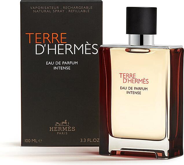 Image du produit Hermès Terre d'Hermes (Eau de parfum, 100 ml)