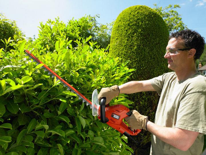 Actual product image Black & Decker Hedge trimmer GT5560 (Electric hedge trimmer)
