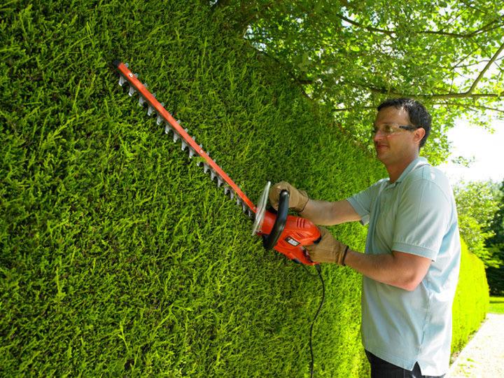 Actual product image Black & Decker Hedge trimmer GT5560 (Electric hedge trimmer)