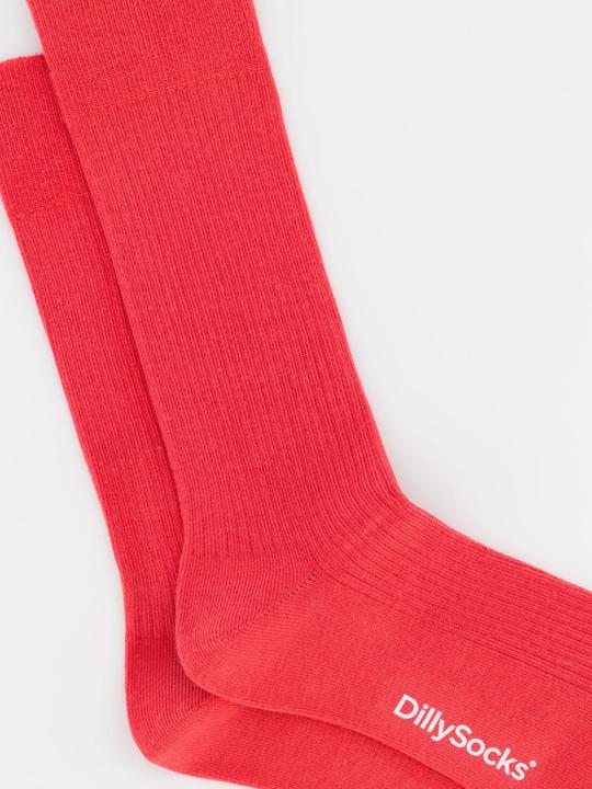 Immagine prodotto DillySocks Ribbed (Confezione singola, 36 - 40)