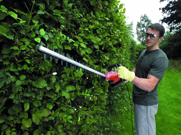 Image du produit Black & Decker Gt7030 (Taille-haie électrique)