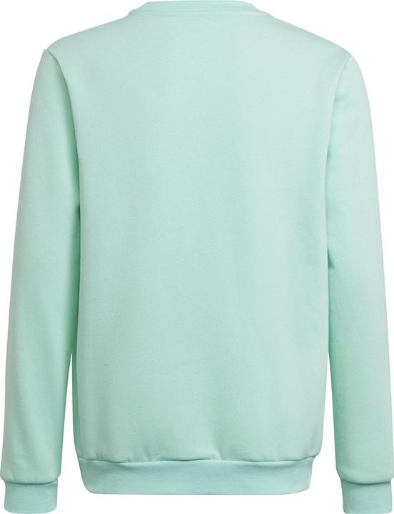 Image du produit adidas Entrada 22 Sweatshirt enfants (152)