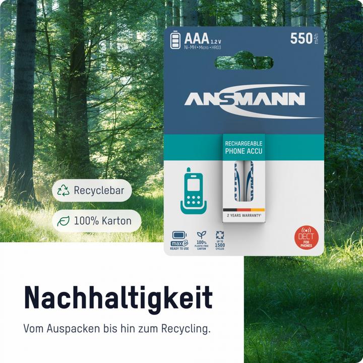 Produktbild Ansmann AAA (2 Stk., AAA, 800.80 mAh)