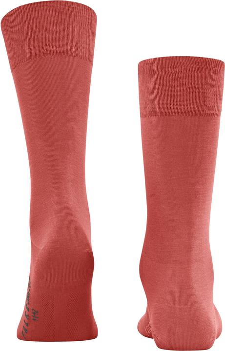 Produktbild Falke Cool 24/7 Herren Socken (39 - 40)