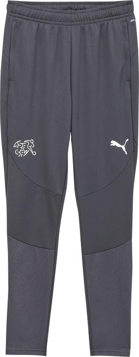 Puma SFV Training Pants