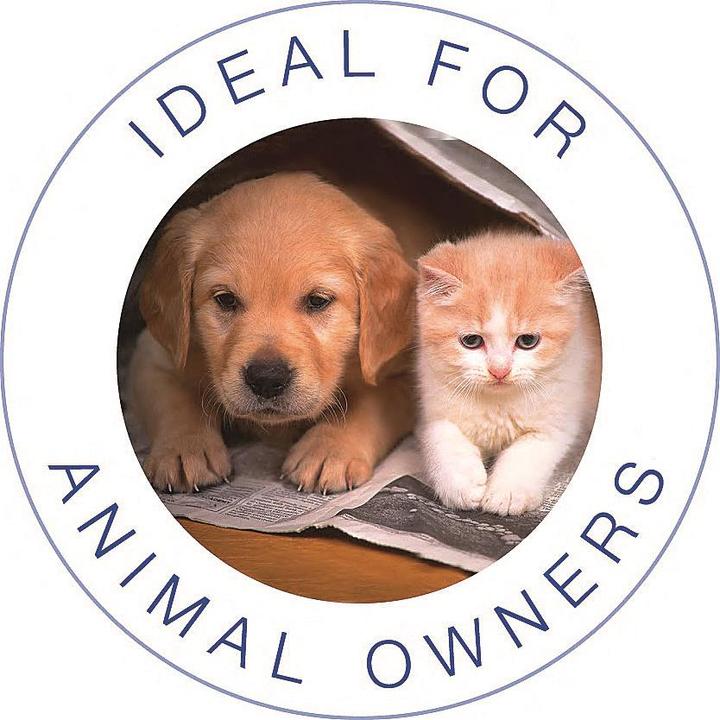 Produktbild Electrolux Ergorapido 2in1 ZB3230P Animal Care