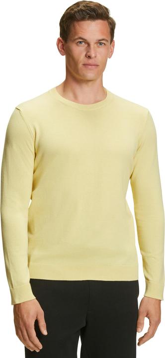 Falke Herren Pullover (L)