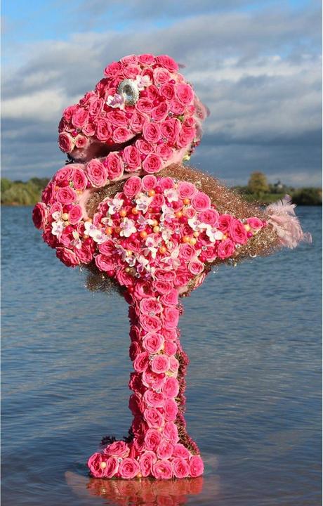 Actual product image Oasis OASISBIOLINE Flamingo