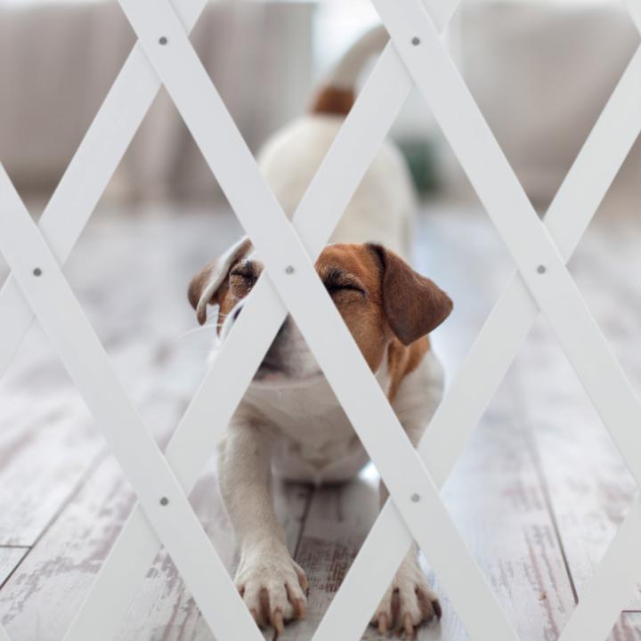 Image du produit Relaxdays Hundeabsperrgitter (150 cm)