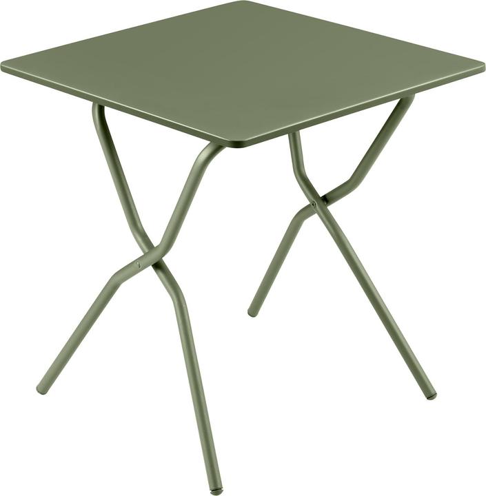 Actual product image Lafuma Camping table